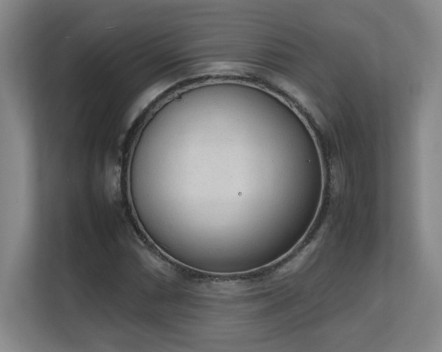 X0000111251066200907021427