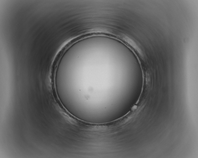 X0000111251068200907021426