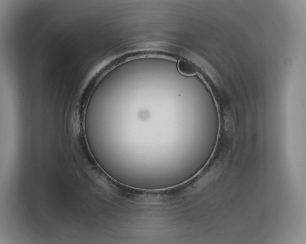 X0000111251069200907021426
