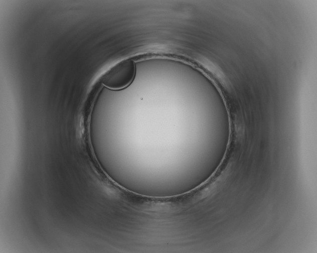 X0000111251070200907021426