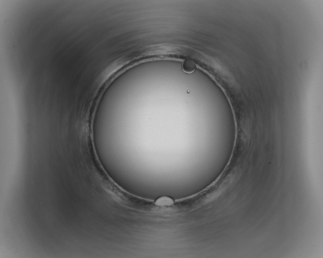 X0000111251073200907021426