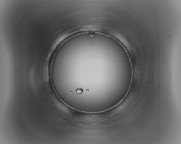 X0000111251075200907021426