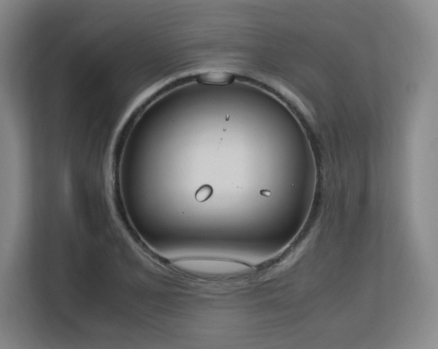 X0000111251077200907021426