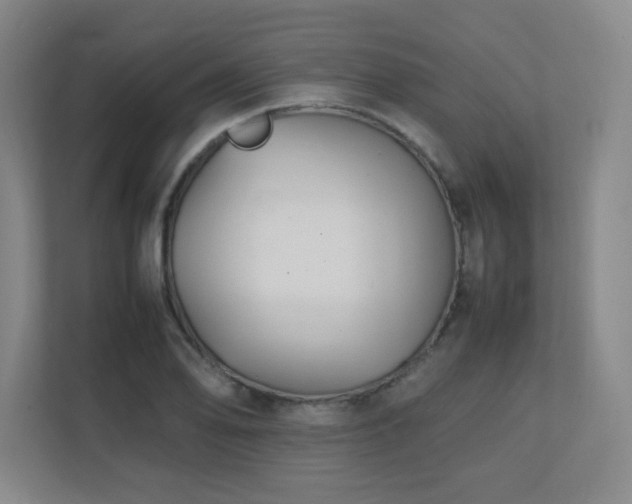 X0000111251078200907021426