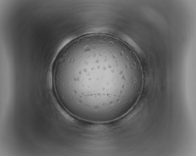 X0000111251079200907021426