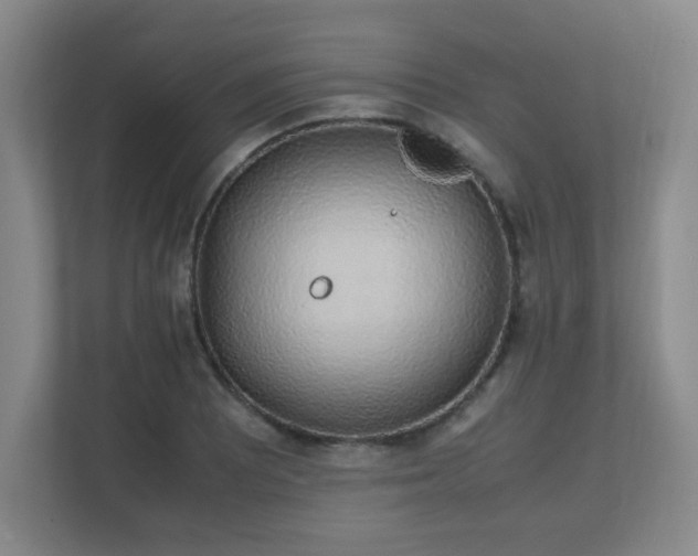 X0000111251081200907021426