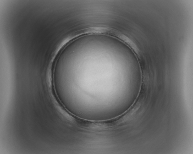 X0000111251083200907021426