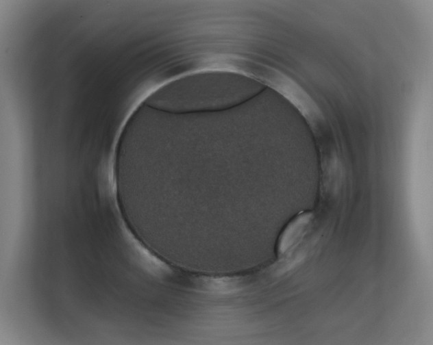 X0000111251084200907021426