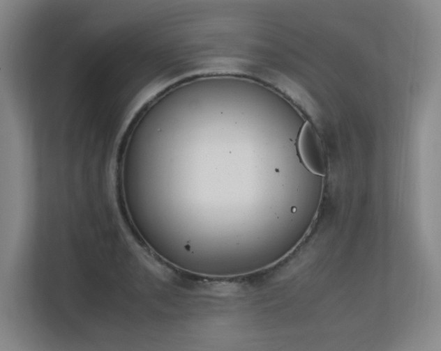 X0000111251085200907021426
