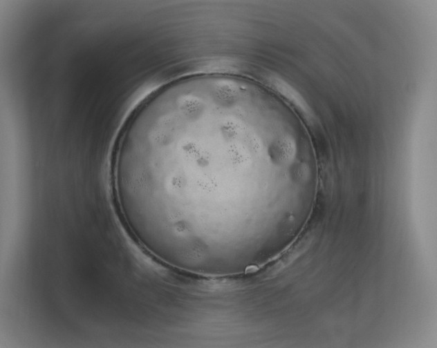 X0000111251087200907021426