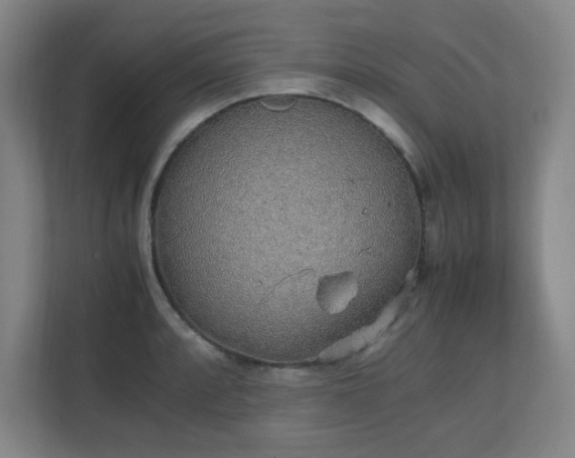 X0000111251088200907021426