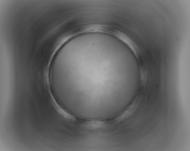 X0000111251090200907021426