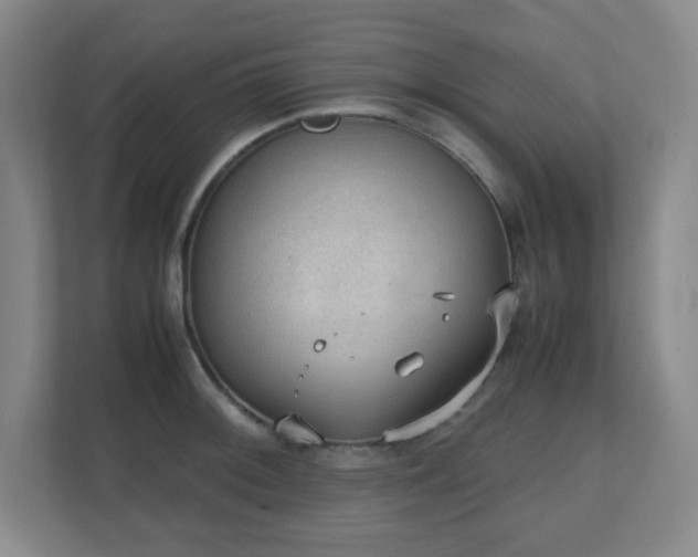 X0000111251092200907021426