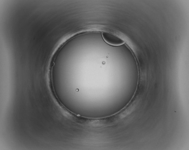 X0000111251093200907021426