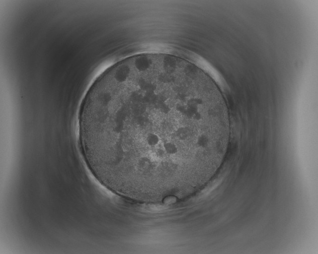 X0000111251095200907021426