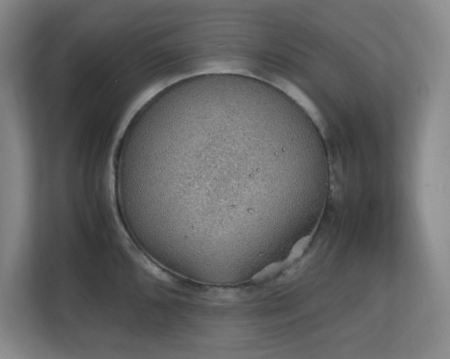 X0000111251096200907021426