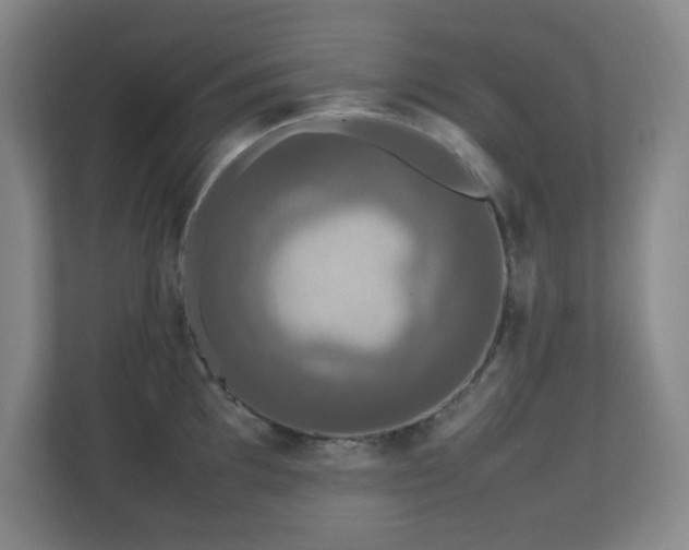 X0000111251097200907021426