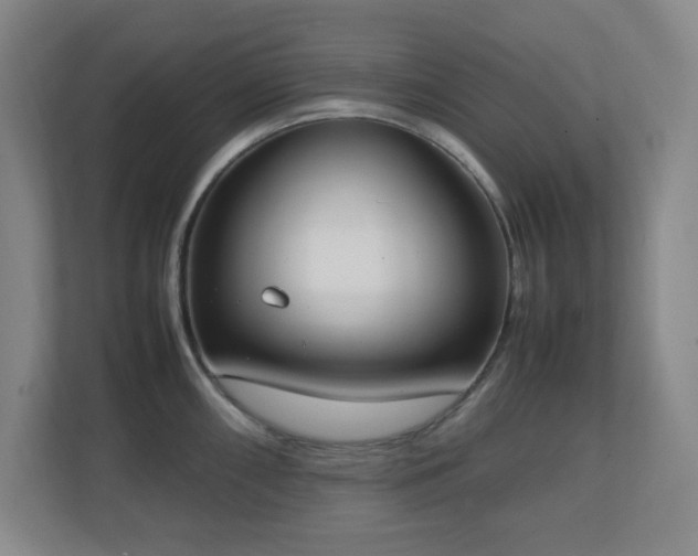 X0000111251098200907021426