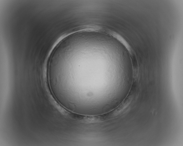 X0000111251099200907021426