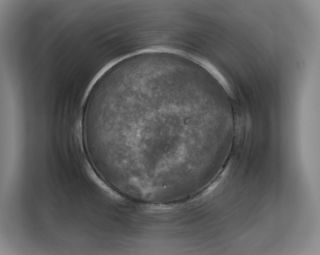 X0000111251100200907021426