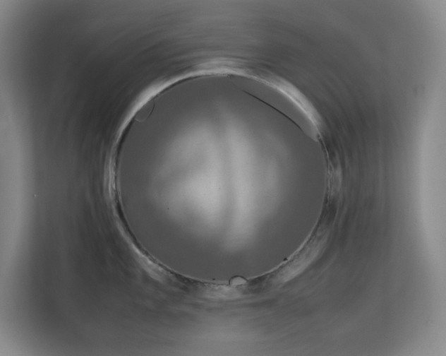 X0000111251101200907021426