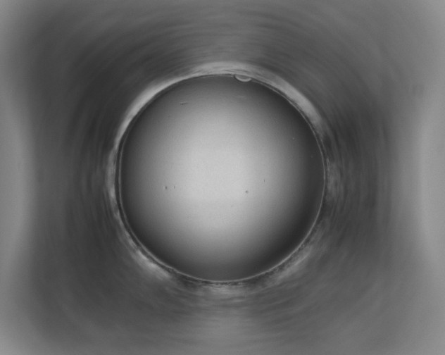 X0000111251102200907021426
