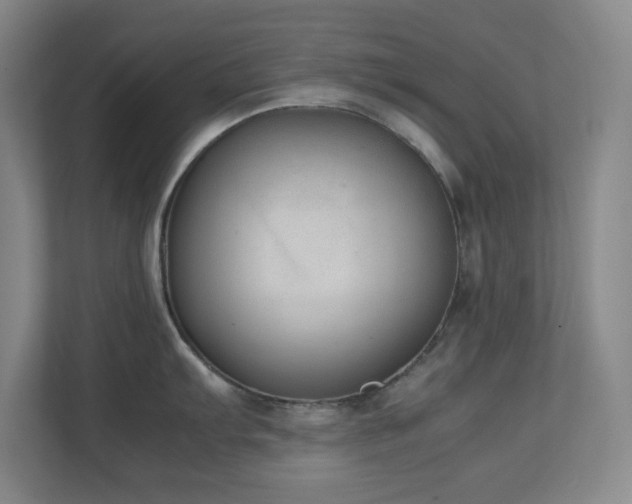 X0000111251103200907021426