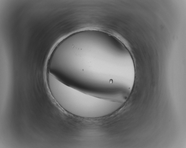 X0000111251104200907021426