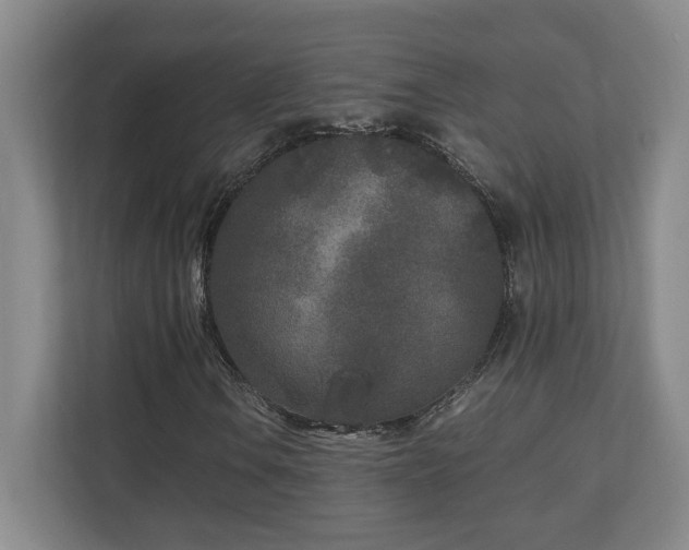 X0000111251106200907021425