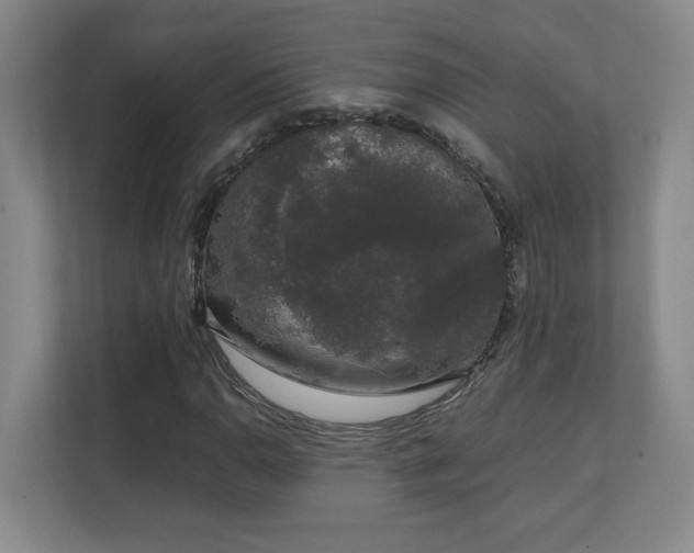 X0000111251110200907021425