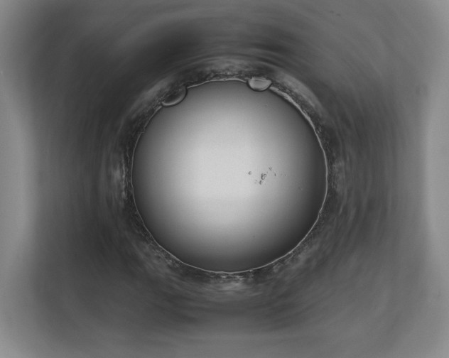 X0000111251111200907021425