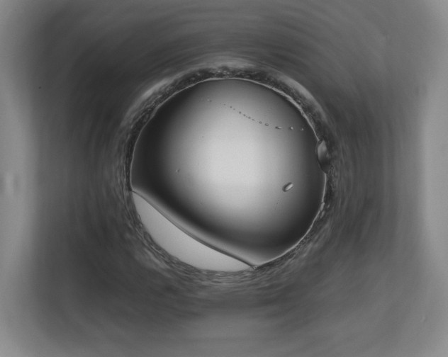 X0000111251112200907021425