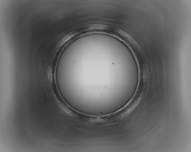 X0000111251113200907021426