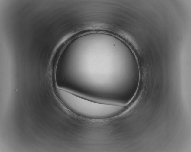 X0000111251114200907021426
