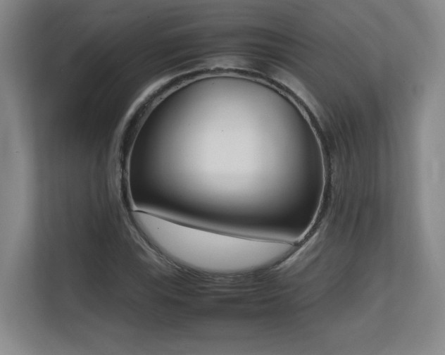 X0000111251115200907021426
