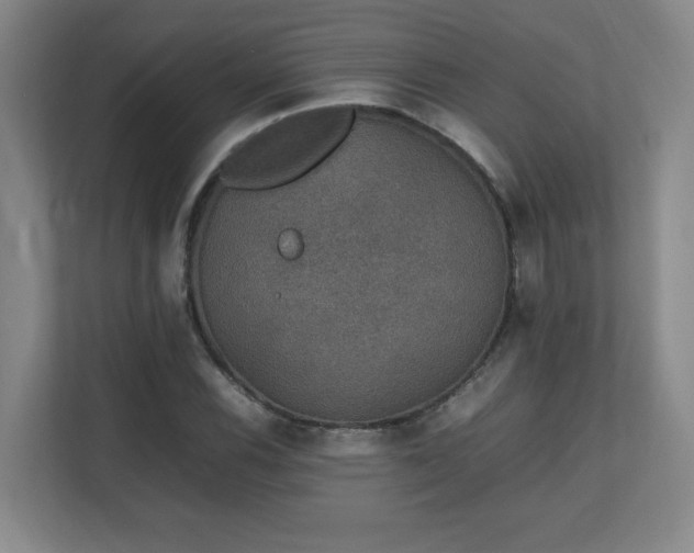 X0000111251116200907021426