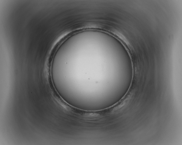 X0000111251119200907021426