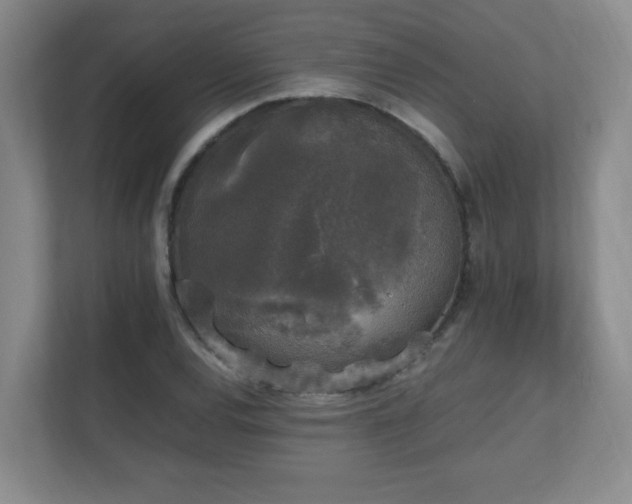 X0000111251120200907021426