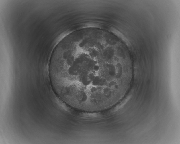 X0000111251121200907021426