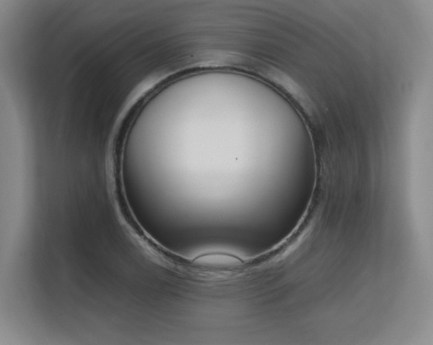 X0000111251122200907021426
