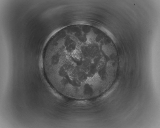 X0000111251125200907021426