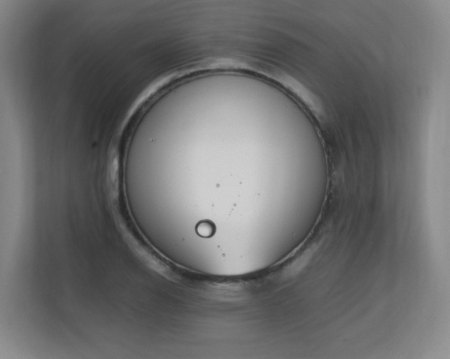 X0000111251126200907021426
