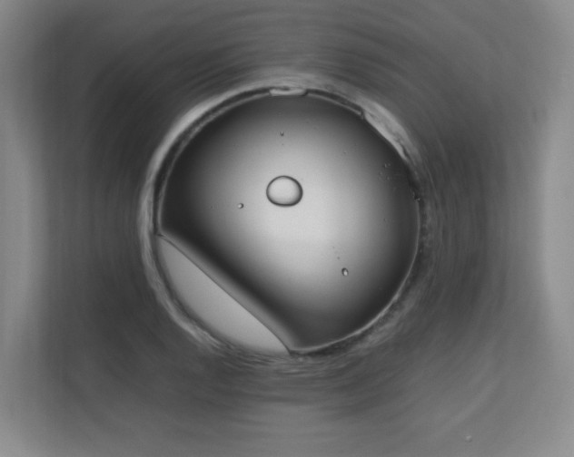X0000111251128200907021426