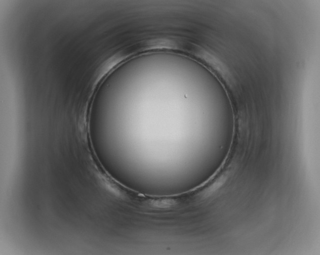 X0000111251129200907021426