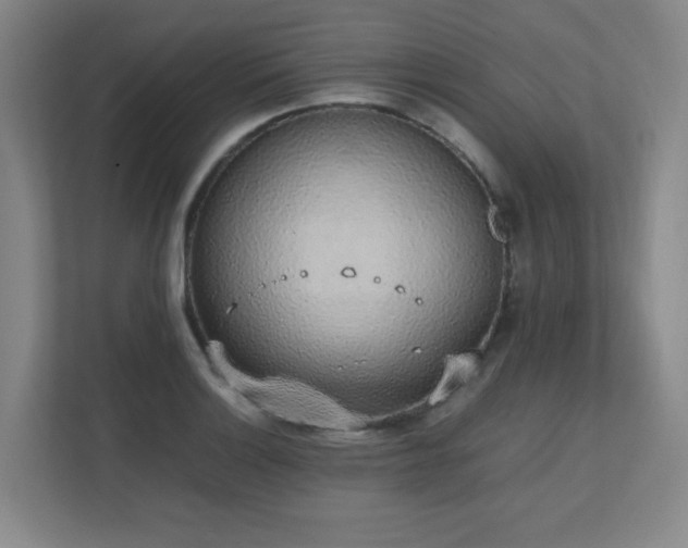 X0000111251132200907021426