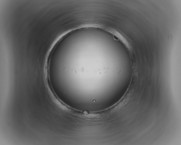 X0000111251140200907021426