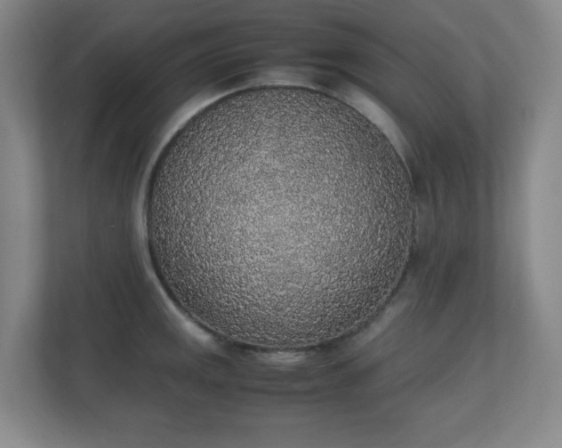 X0000111251141200907021426