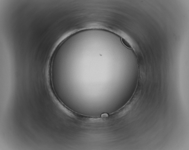 X0000111251142200907021426