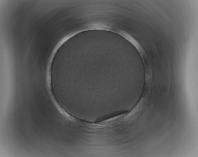 X0000111251144200907021426