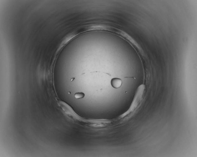 X0000111251145200907021426